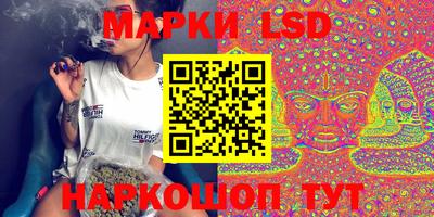 мдпв Донской