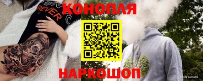 мдпв Донской