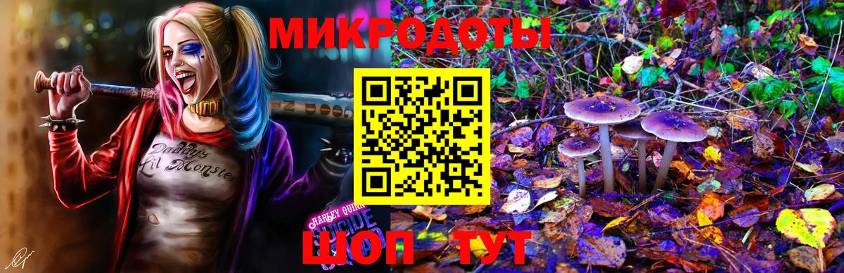 Междуреченск  Псилоцибиновые грибы Psilocybine cubensis  Вход с VPN 